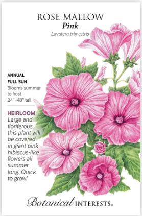 Pink Rose Mallow