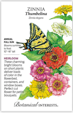 Thumbelina Zinnia