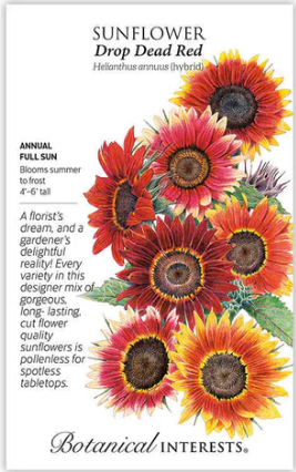 Drop Dead Red Sunflower