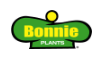 Bonnie's Strawberry