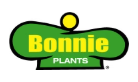 Bonnie's Cauliflower