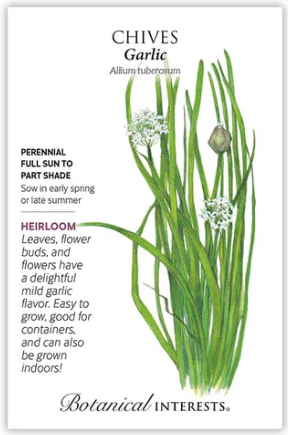 Garlic Chives