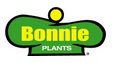 Bonnie Burpless Cucumber