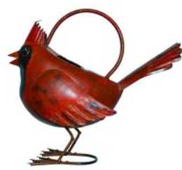 Cardinal Watering Can