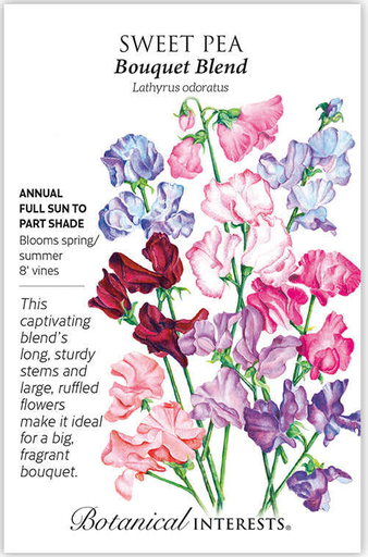 Bouquet Blend Sweet Pea Seeds