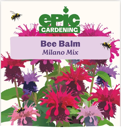 Milano Mix Bee Balm