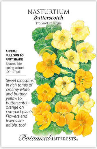 Butterscotch Nasturtium Seeds