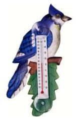 Blue Jay Thermometer