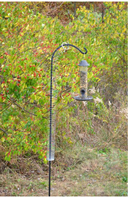 Squirrel Proof Spring Device